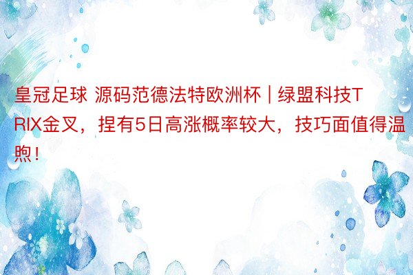 皇冠足球 源码范德法特欧洲杯 | 绿盟科技TRIX金叉，捏有5日高涨概率较大，技巧面值得温煦！