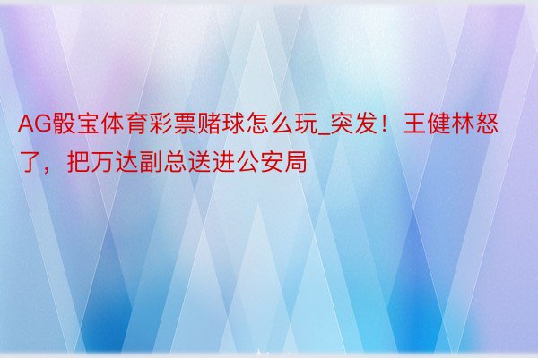 AG骰宝体育彩票赌球怎么玩_突发！王健林怒了，把万达副总送进公安局