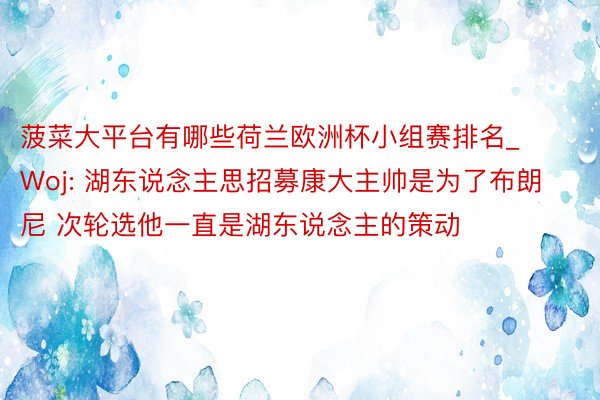 菠菜大平台有哪些荷兰欧洲杯小组赛排名_Woj: 湖东说念主思招募康大主帅是为了布朗尼 次轮选他一直是湖东说念主的策动